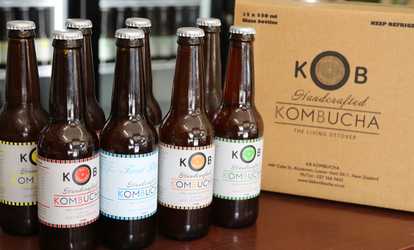 Mixed 12-Pack Kombucha (Delivered)