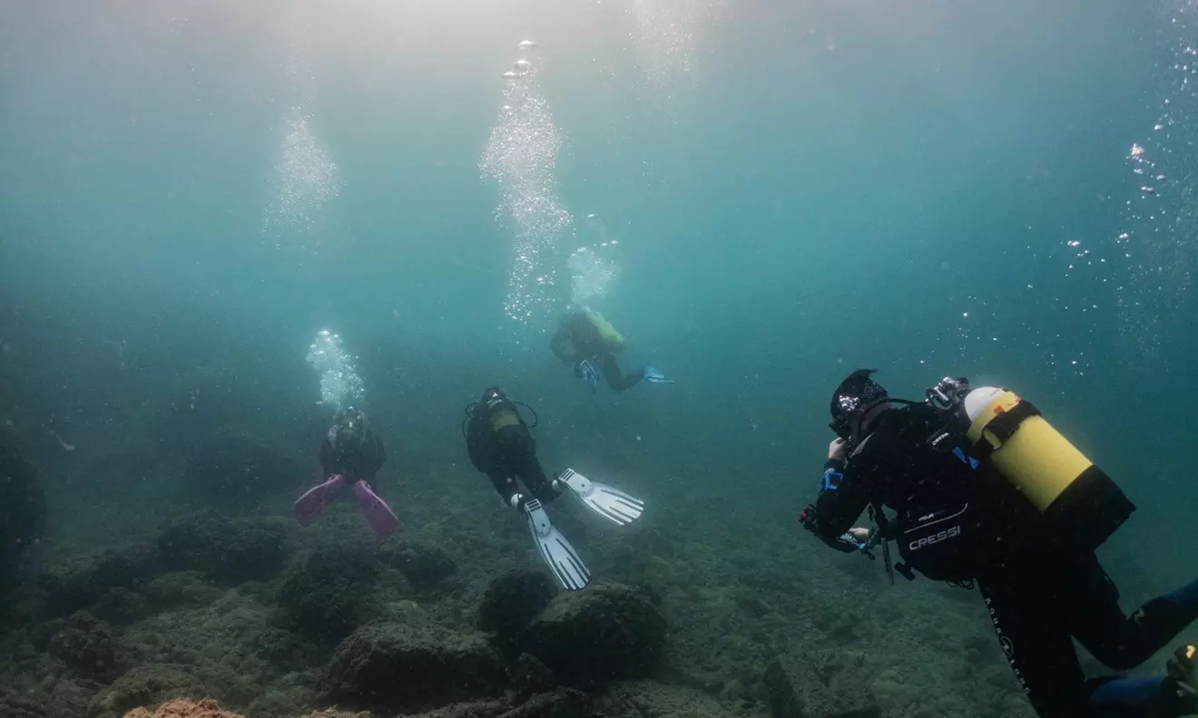 Bautizo de buceo o excursión snorkel con fotos