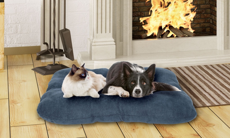 Image 3: Padded Cushion for Pets