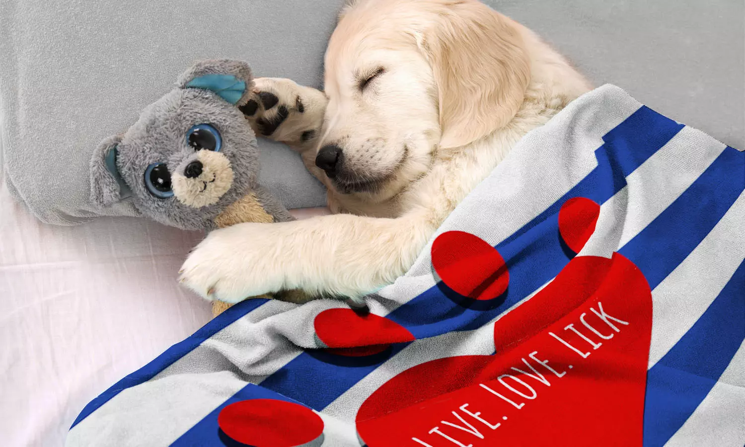 Couverture polaire personnalisable, dimensions au choix, sur le site Printerpix, dès 8,99 € (jusqu'à 90% de réduction) - Primary Image