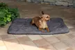 Matelas soft pour chien été / hiver - Second Medium