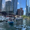 Image 9: Experience Chicago's Essence with Wateriders’ Kayak Tours & Rentals!