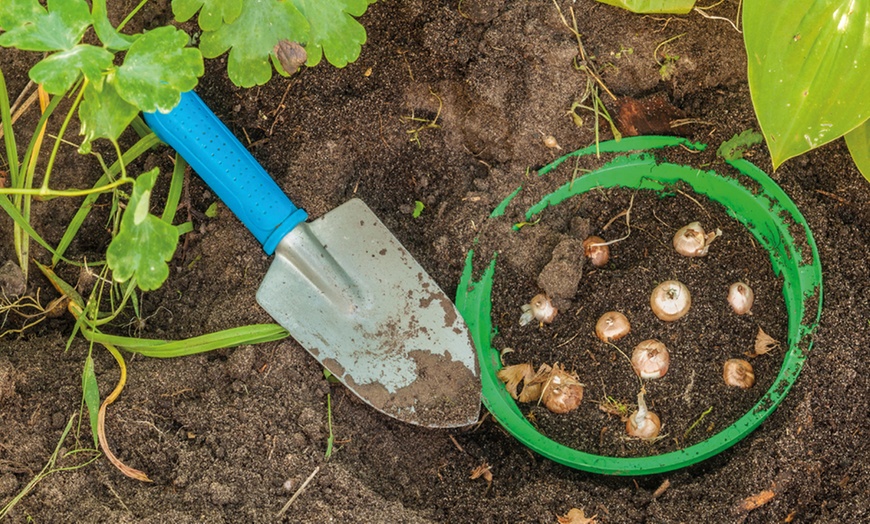 Image 3: Bulb Planting Baskets