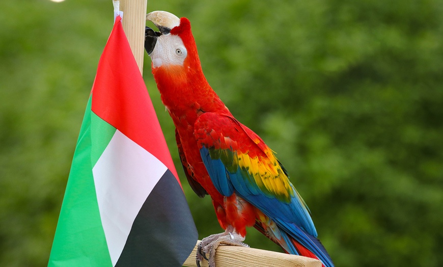 Image 1: General admission to Dubai Exotic Bird-Show at Creek Park Bird Show 