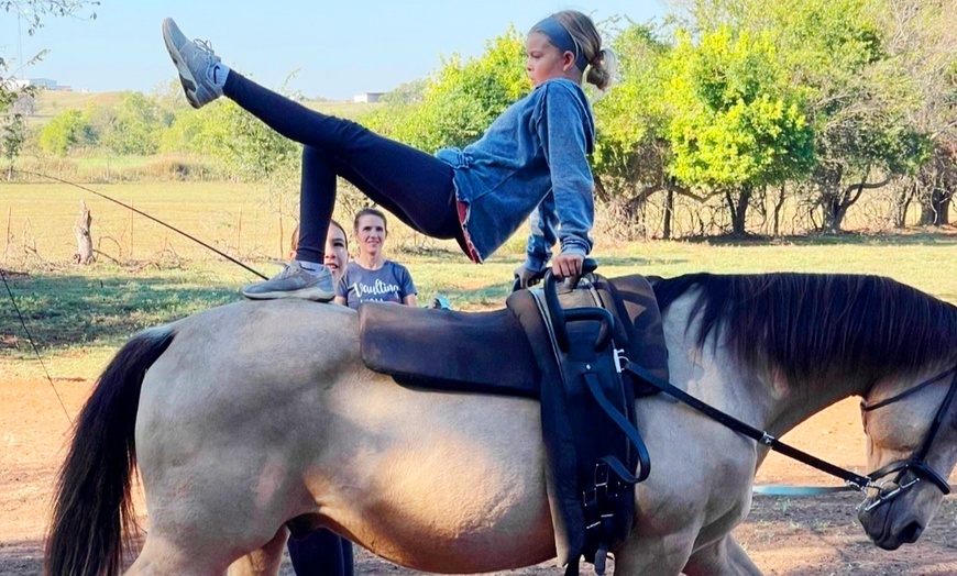 Image 3: Enjoy Horse Vaulting Lessons or Gymnastics On Horseback