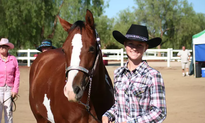 $29 for Two 60-Minute Group Horseback-Riding Lessons at The Riding Academy ($80 Value) - Primary Image