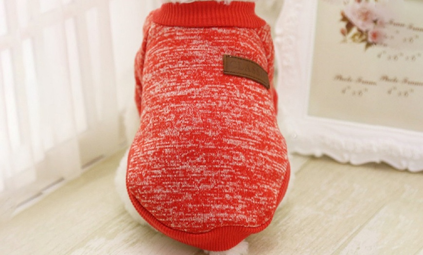 Image 2: Pet Jumper