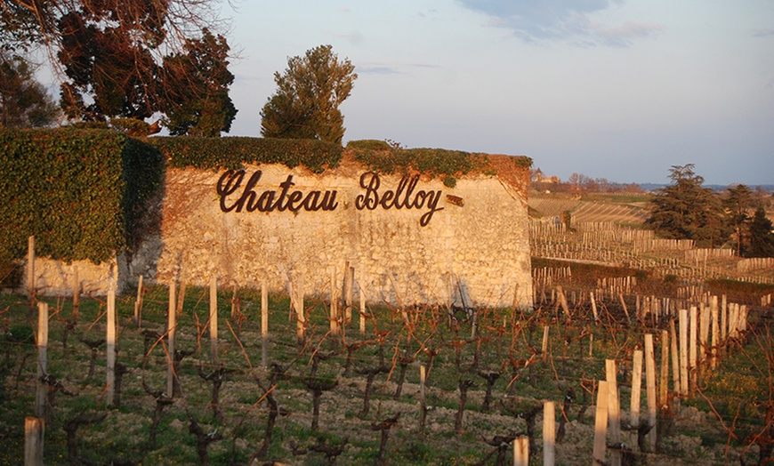 Image 2: Un séjour entre détente et œnologie à la La Villa du Château Belloy