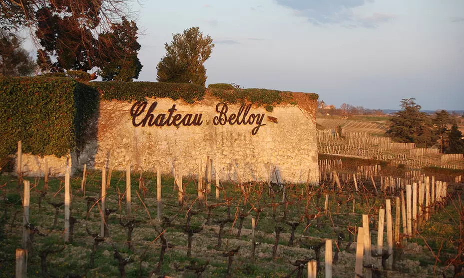 Séjour œnologique à la Villa du Château Belloy
