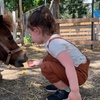 Image 1: Explore a Two or Three People Admission for Zoo or Pony Ride for kids 