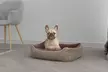 Camas para mascotas Coccole y Nuvola - Second Medium