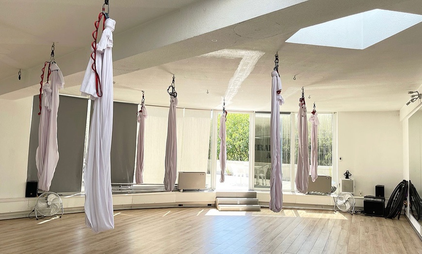 Image 3: Cours de pole dance, hamac, PSM, stretching ou bungeesfit