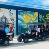 Image 2: Wynwood Street Art Tours: Miami's Award-Winning Urban Art Experience