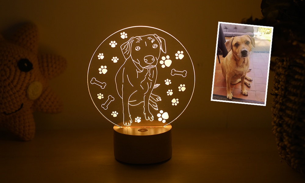 Foto-Nachtlicht vom Haustier