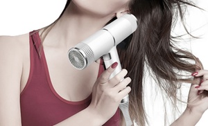 Anion Hot and Cold Hair Dryer