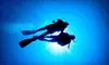 PADI Scuba Course with Materials or Confined Water Scuba Training at Tortuga Bay in Greeley (Up to 54% Off)
