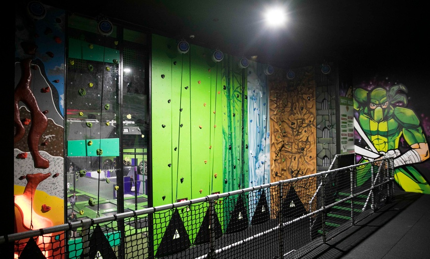 Image 4: Trampoline Park Access