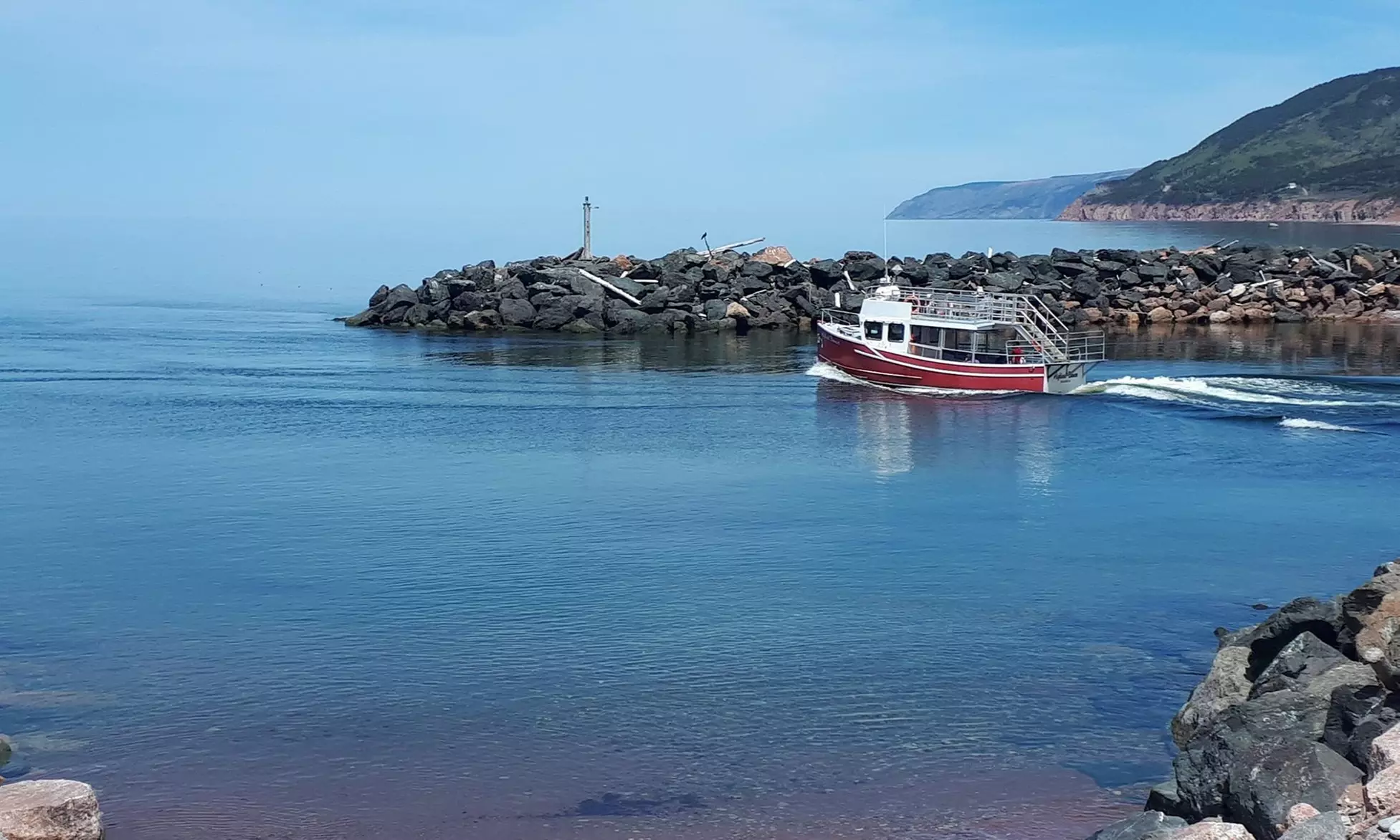 Whale Watching Tour for One, Two, or Four from Guaranteed Whales (Up to 20% Off) - Second Medium