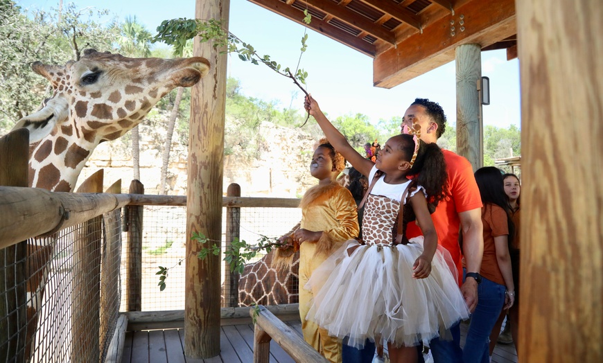 Image 1: FLASH SALE! Exhilarating Wildlife Adventure at San Antonio Zoo!