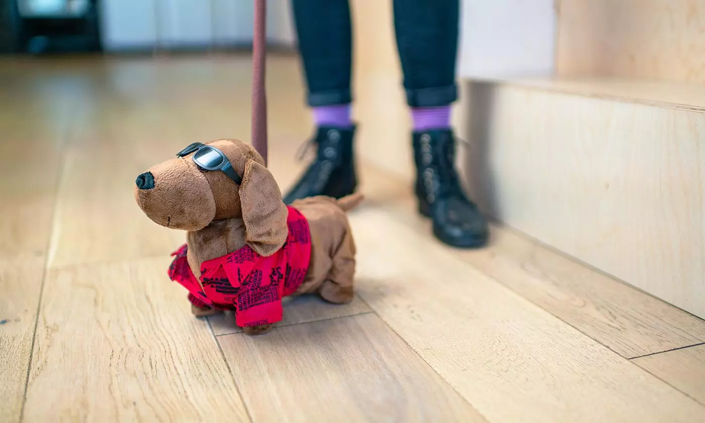 Singender Spielzeug-Hund für Kinder inkl. Versand - Primary Image