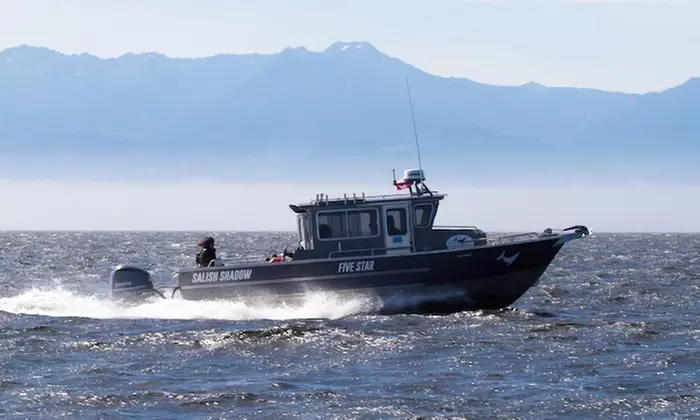 Three-Hour Wildlife Whale-Watching Tour for One or Two from Five Star Whale Watching (Up to 24% Off) - Primary Image