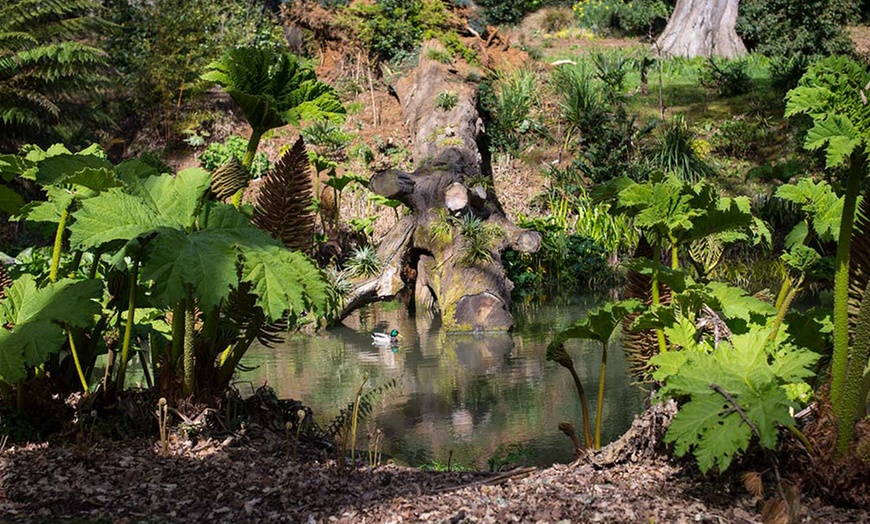 Image 3: Entry to Swannery, Gardens and Farm: Child (£10.5), Adult (£12.5)