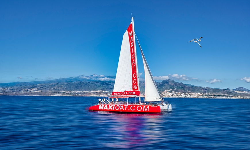 Image 1: ¡Descubre la aventura! Excursión en catamarán con comida y bebida