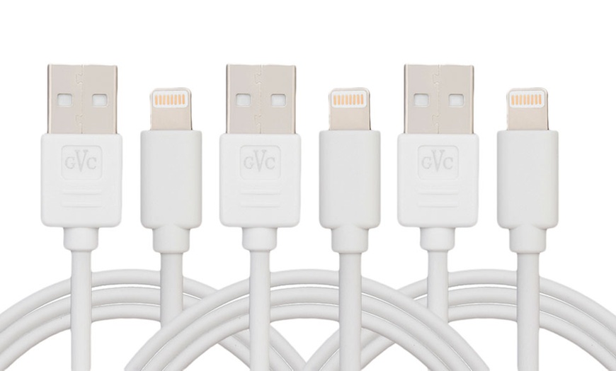 Image 4: 1, 2 ou 3 cables pour iPhone