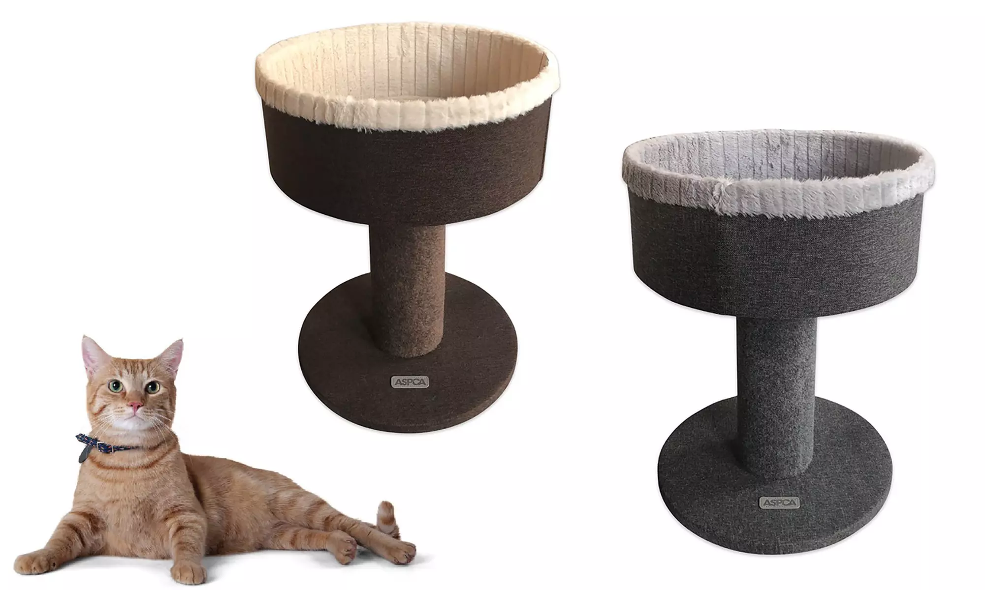 ASPCA Modern Cat Pedestal Bed - Primary Image