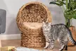 Pawhut Wicker Cat Bed - Image 6