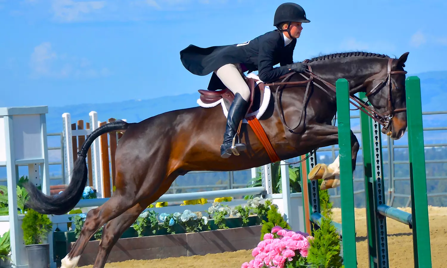 One, Two, Five, or Ten Riding Lessons at California Riding Academy (Up to 40% Off) - Primary Image