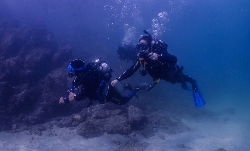 Image 1: Experience Scuba Diving with Pool and Beach Dives!