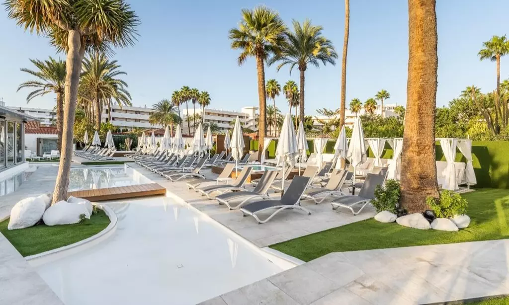 ¡Día de piscina con hamacas y cócteles!