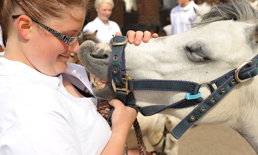 Image 5: Horse Riding With Hot Drink