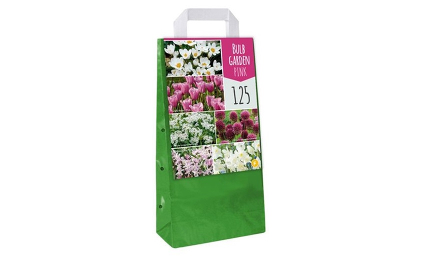 Image 7: Set di 125 o 250 bulbi di fiori da giardino assortiti