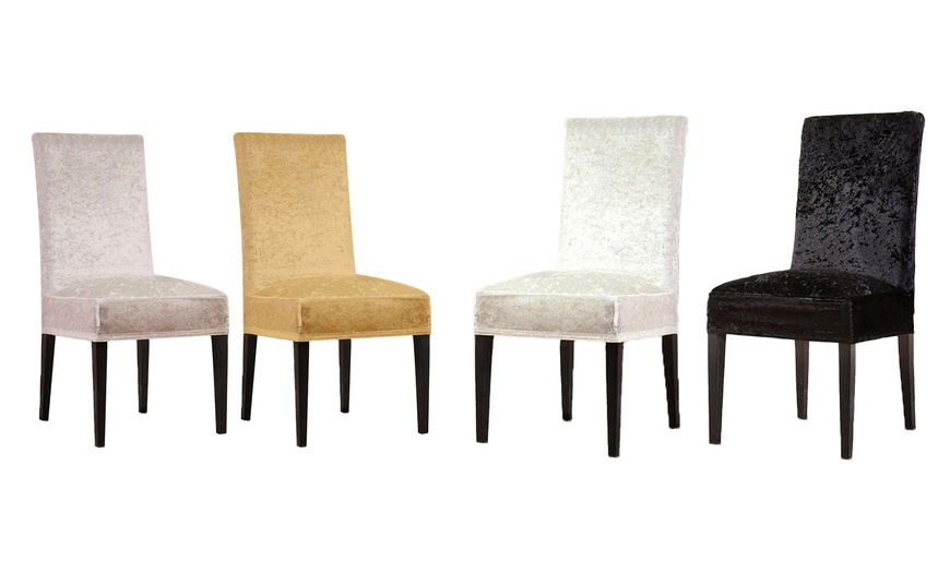 Image 1: Housses de chaises extensibles effet velours