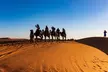 Quad Biking and Dune Bashing with Culture Experience from Tulip Tourism LLC (Up to 54% Off) - Image 4
