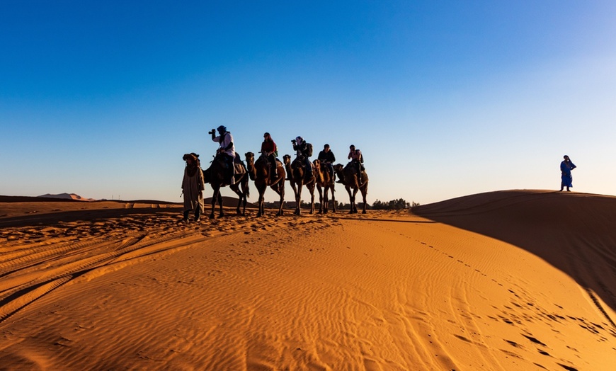 Image 4: Quad Biking and Dune Bashing