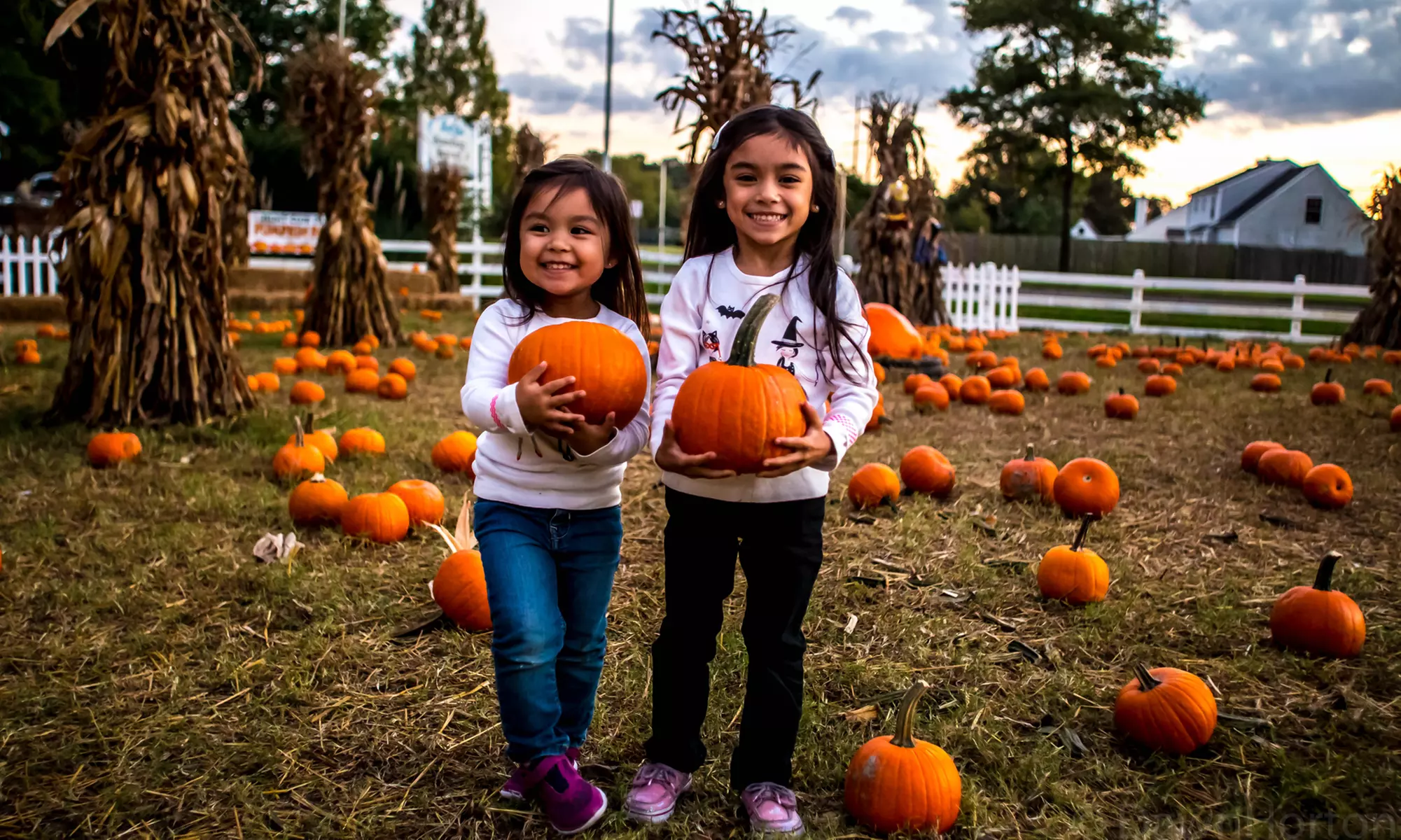 Admission for Hayride and Petting Farm with Feed Cups at Hunt Club Farm (Up to 32% Off). Two Options Available.  - Primary Image