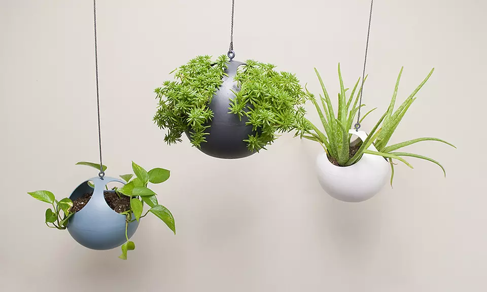 Set of 2 Modern Hanging Planters - Primary Image