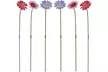 6 or 12 Metal Daisy Garden Stakes - 2 Colour Options - Image 5