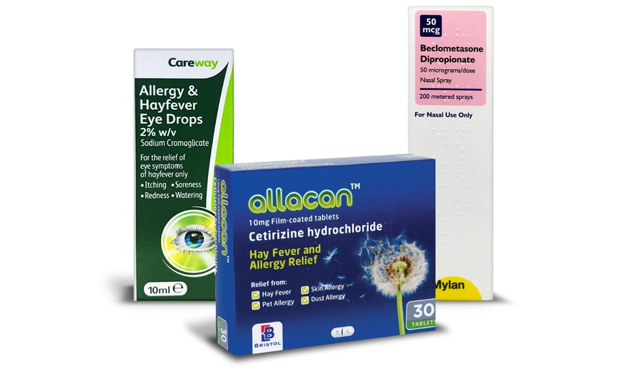 Image 3: Hay Fever Protection Pack