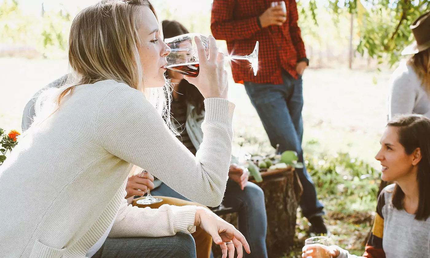 Pinot Noir Wine Collection from Wine Insiders (Up to 72% Off). Three Options Available. - Second Medium