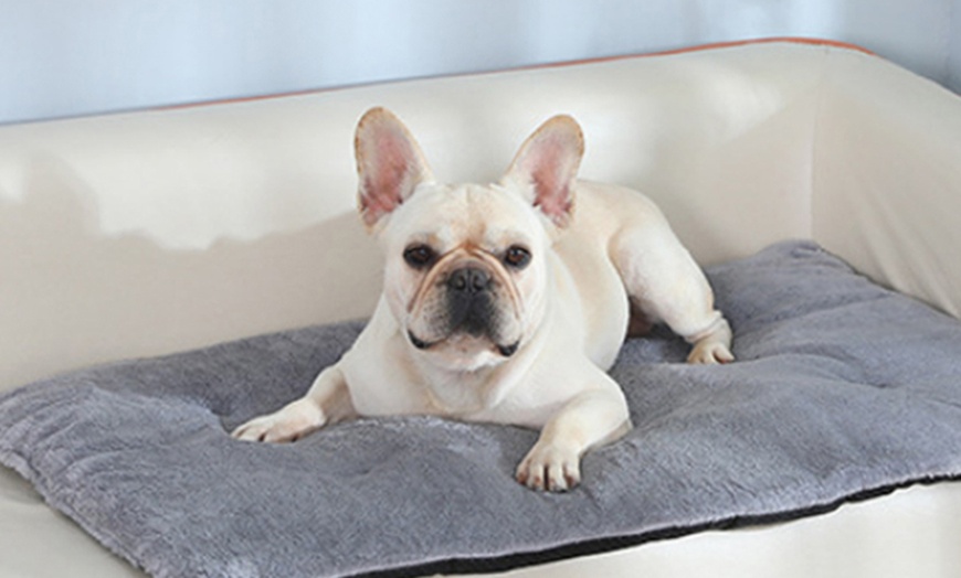 Image 4: Self-Warming Pet Blanket Bed Pad