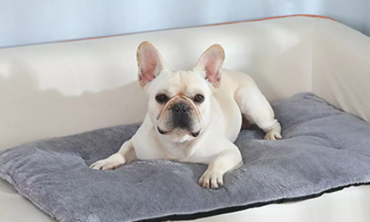 Self-Warming Pet Blanket Bed Pad