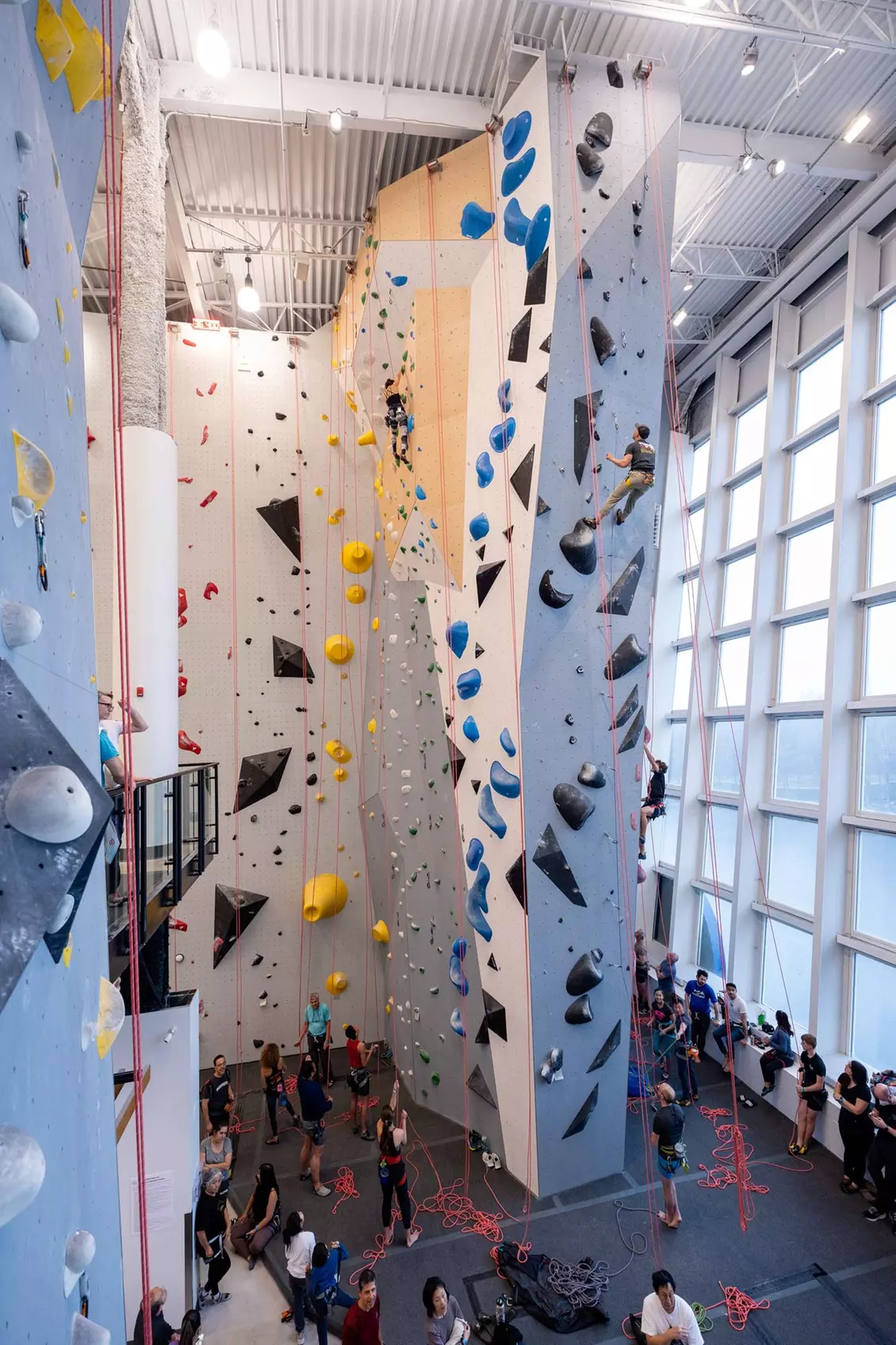 Experience Indoor Climbing with Intro and Top Rope Belaying Classes