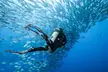 Up to 56% Off on Diving Lesson at DiveCampus - Image 4