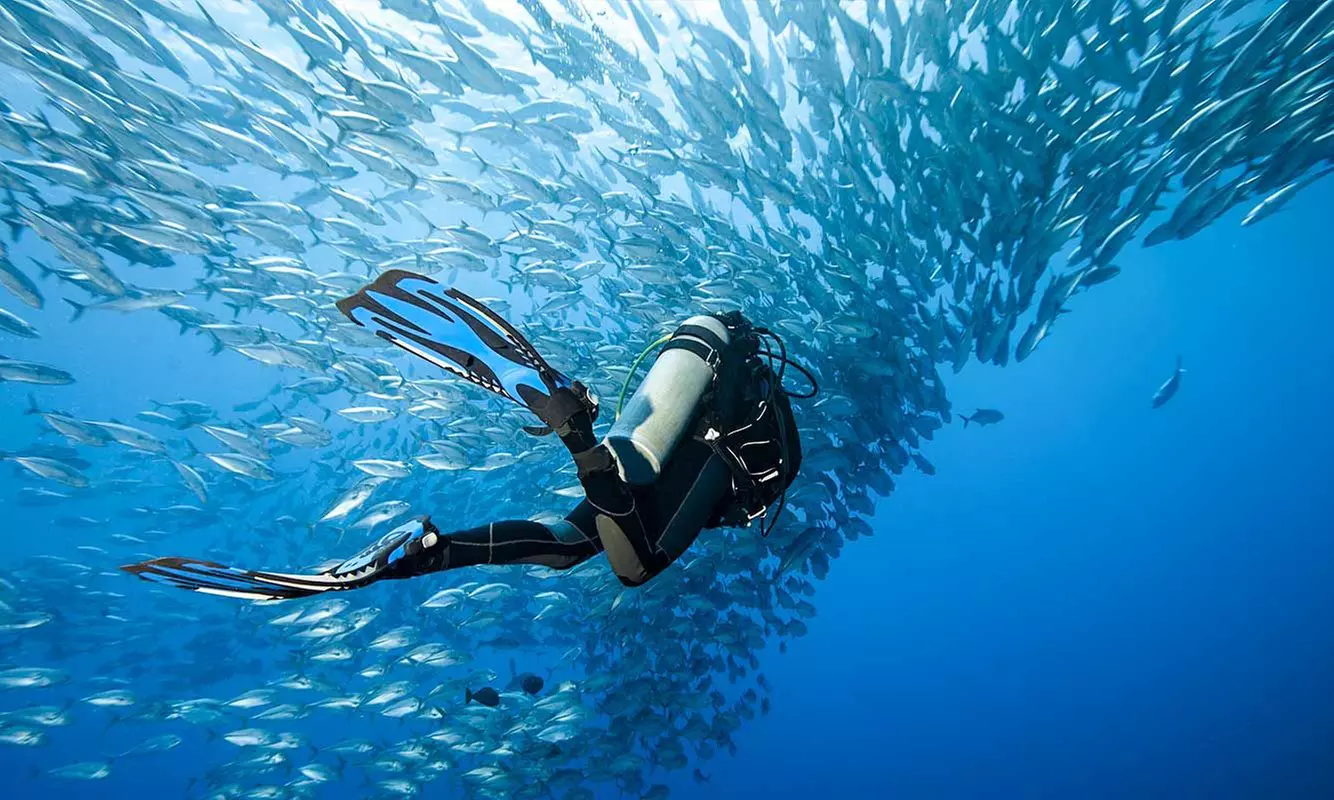 Up to 56% Off on Diving Lesson at DiveCampus
