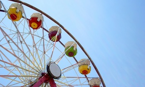 Child (2-12 Years) or Adult Ticket to Fremantle Tourist Wheel