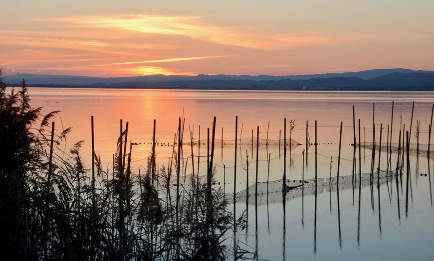 Image 10: Disfruta un menú de arroz con paseo en barca opcional en la Albufera